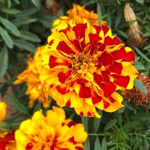 Meet your Posher, Eli